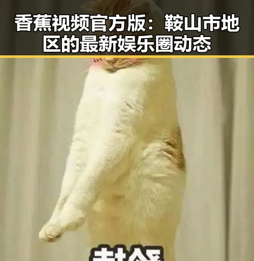 香蕉视频官方版：鞍山市地区的最新娱乐圈动态