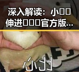 深入解读:小🐔🐔伸进🈲🔞🔞官方版的背后故事