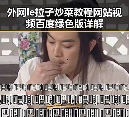外网le拉子炒菜教程网站视频百度绿色版详解