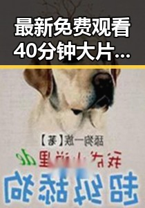 最新免费观看40分钟大片的电视剧免费版，轻松追剧无压力