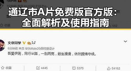 通辽市A片免费版官方版：全面解析及使用指南