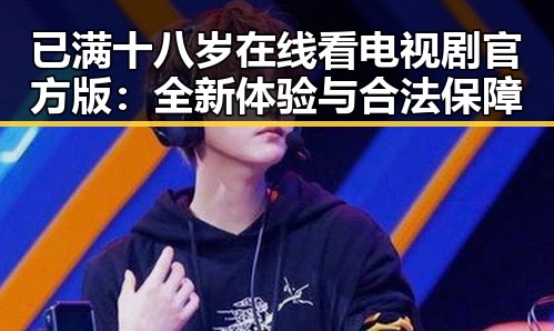 已满十八岁在线看电视剧官方版：全新体验与合法保障