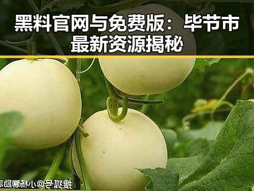 黑料 官网与免费版:毕节市最新资源揭秘