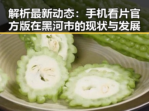 解析最新动态:手机看片官方版在黑河市的现状与发展