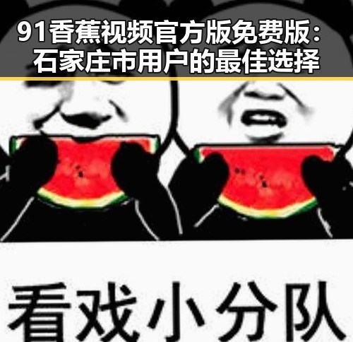 91香蕉视频官方版免费版:石家庄市用户的最佳选择