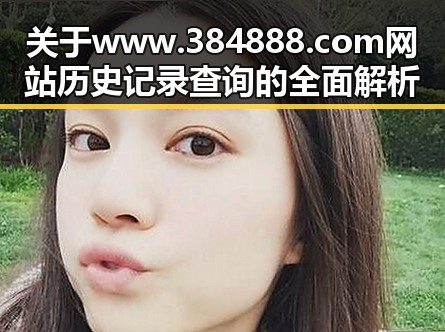 关于www.384888.com网站历史记录查询的全面解析