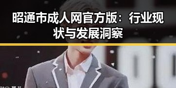 昭通市成人网官方版：行业现状与发展洞察