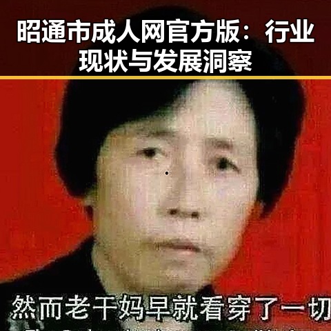 昭通市成人网官方版：行业现状与发展洞察