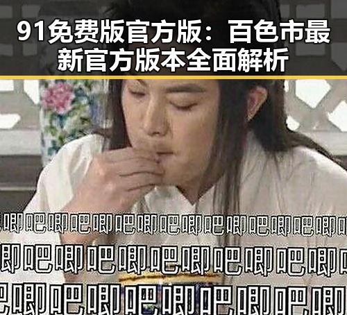 91免费版官方版：百色市最新官方版本全面解析