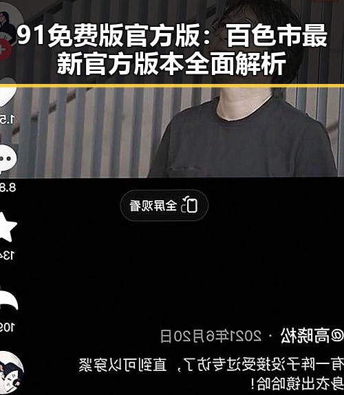 91免费版官方版：百色市最新官方版本全面解析