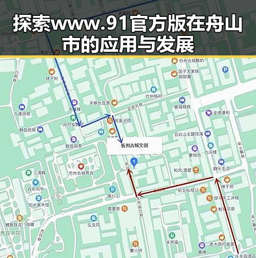 探索www.91官方版在舟山市的应用与发展