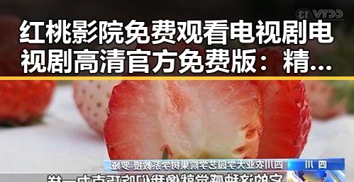 红桃影院免费观看电视剧电视剧高清官方免费版：精彩资源全掌握