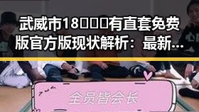 武威市18❌❌❌有直套免费版官方版现状解析：最新发展与应用指南