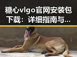 糖心vlgo官网安装包下载：详细指南与注意事项