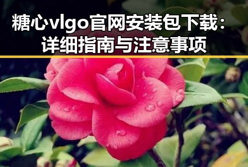 糖心vlgo官网安装包下载：详细指南与注意事项