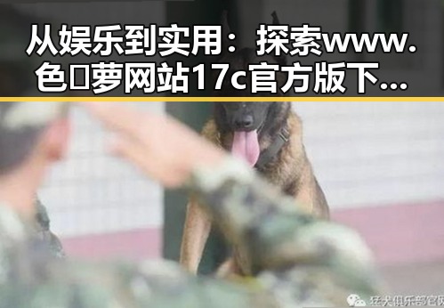 从娱乐到实用：探索www.色😍萝网站17c官方版下载的全面指南