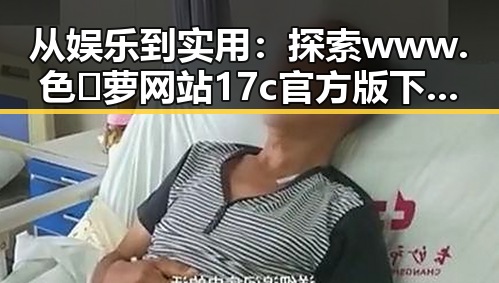 从娱乐到实用：探索www.色😍萝网站17c官方版下载的全面指南
