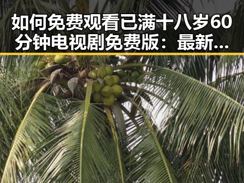 如何免费观看已满十八岁60分钟电视剧免费版：最新资源指南