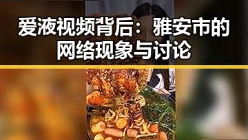 爱液视频背后：雅安市的网络现象与讨论