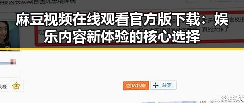 麻豆视频在线观看官方版下载：娱乐内容新体验的核心选择