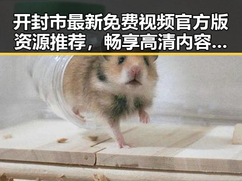 开封市最新免费视频官方版资源推荐，畅享高清内容体验