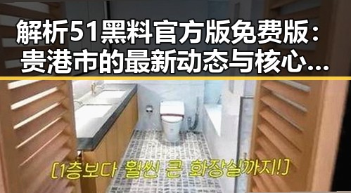 解析51黑料官方版免费版：贵港市的最新动态与核心信息