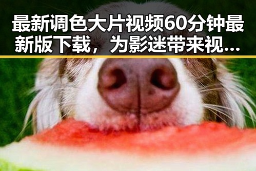 最新调色大片视频60分钟最新版下载，为影迷带来视觉盛宴