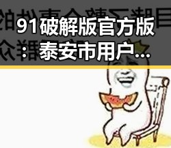 91破解版官方版：泰安市用户必备的最新版本介绍