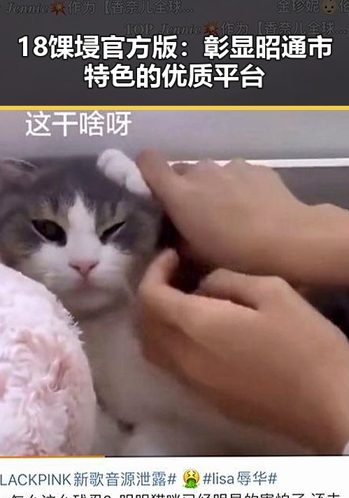 18馃埐官方版：彰显昭通市特色的优质平台