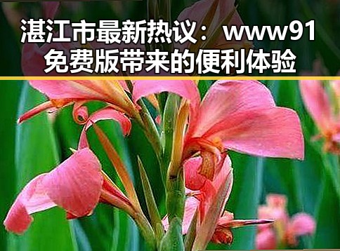 湛江市最新热议：www91免费版带来的便利体验