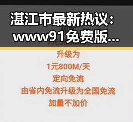 湛江市最新热议：www91免费版带来的便利体验