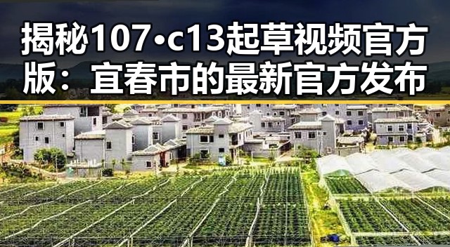 揭秘107·c13起草视频官方版：宜春市的最新官方发布