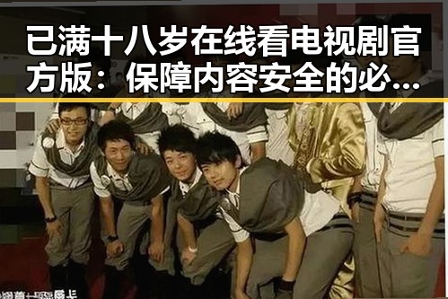已满十八岁在线看电视剧官方版：保障内容安全的必备指南