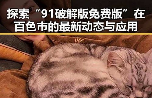 探索“91破解版免费版”在百色市的最新动态与应用