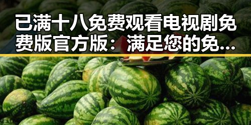 已满十八免费观看电视剧免费版官方版：满足您的免费在线观看需求