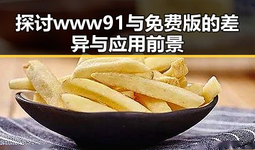 探讨www91与免费版的差异与应用前景