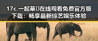 17c.一起草🌿在线观看免费官方版下载：畅享最新综艺娱乐体验