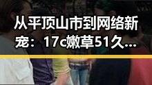 从平顶山市到网络新宠：17c嫩草51久久91嫩草漫画官方版下载的反差魅力