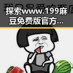 探索www.199麻豆免费版官方版：廊坊市最新资源指南