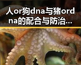 人or狗dna与猪ordna的配合与防治官方版下载：深入解析核心技术与应用前景