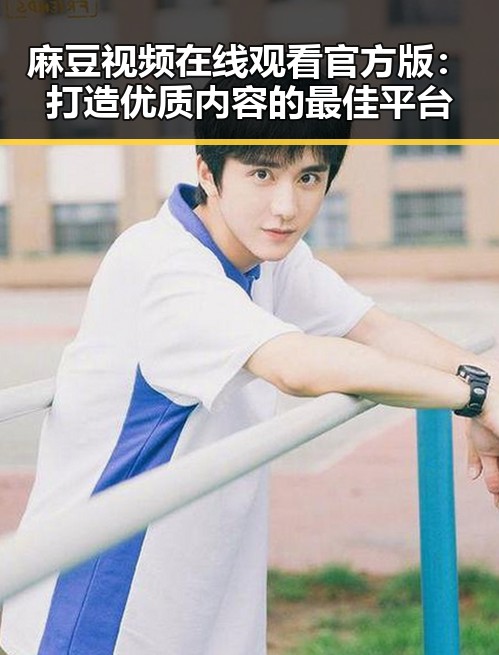 麻豆视频在线观看官方版：打造优质内容的最佳平台