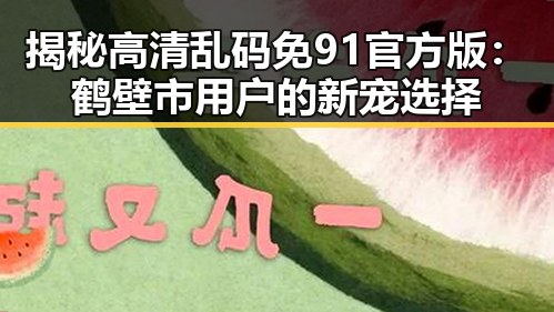 揭秘高清乱码免91官方版：鹤壁市用户的新宠选择