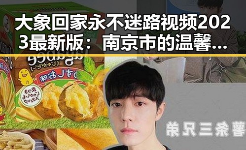 大象回家永不迷路视频2023最新版：南京市的温馨守护