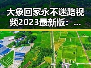 大象回家永不迷路视频2023最新版：南京市的温馨守护