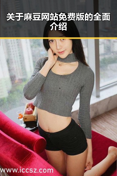 关于麻豆网站免费版的全面介绍