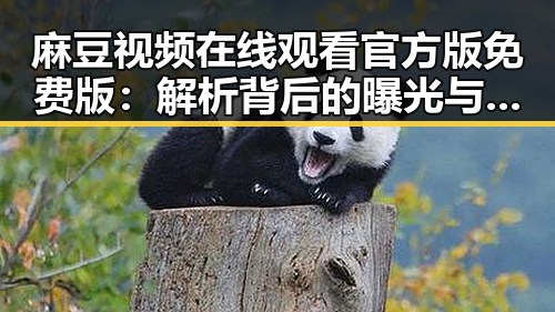 麻豆视频在线观看官方版免费版：解析背后的曝光与影响