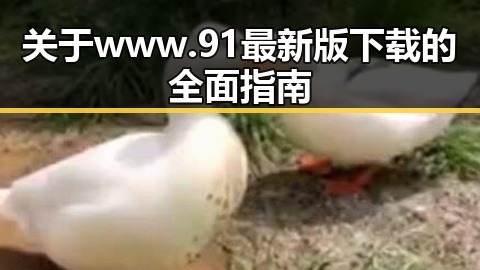 关于www.91最新版下载的全面指南