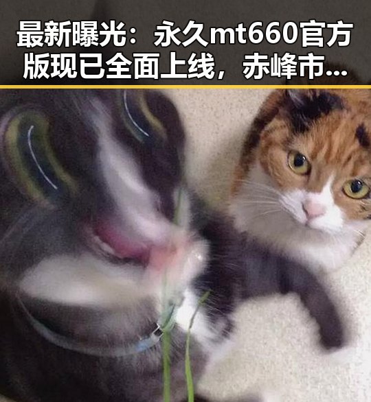 最新曝光：永久mt660官方版现已全面上线，赤峰市用户热议