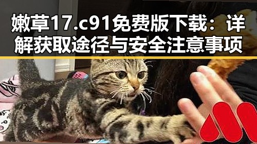 嫩草17.c 91免费版下载：详解获取途径与安全注意事项