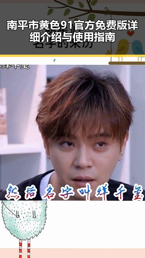 南平市黄色91官方免费版详细介绍与使用指南